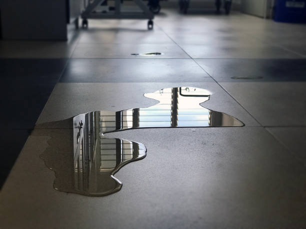Best Water damage restoration near me  in Cicero, IL