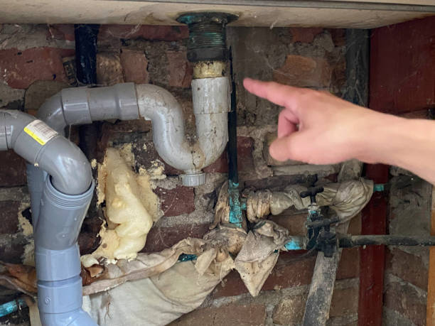 Best Ceiling water damage repair  in Cicero, IL